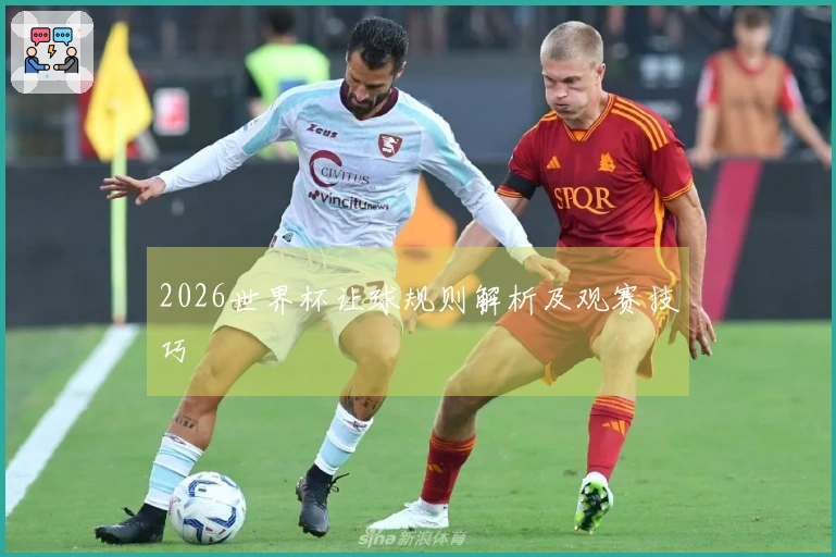 2026世界杯让球规则解析及观赛技巧