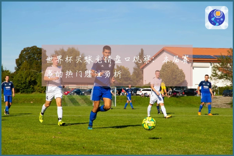 世界杯买球竞猜盘口观察：本届赛事的热门赌注分析