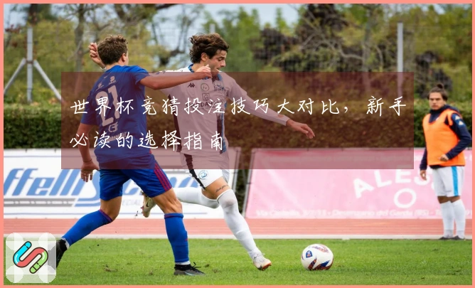 世界杯竞猜投注技巧大对比，新手必读的选择指南