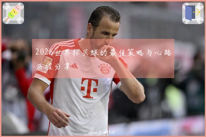2026世界杯买球的最佳策略与心路历程分享
