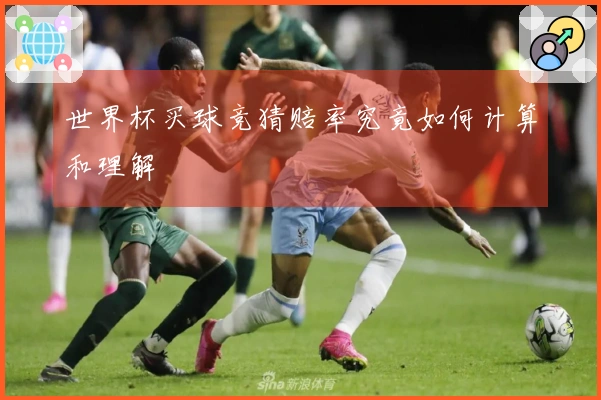 世界杯买球竞猜赔率究竟如何计算和理解