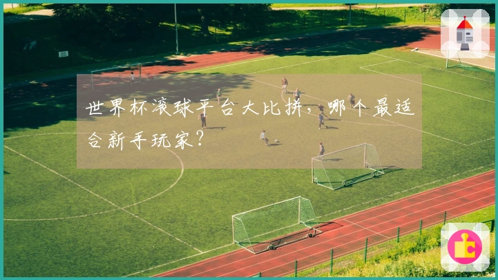 世界杯滚球平台大比拼，哪个最适合新手玩家？