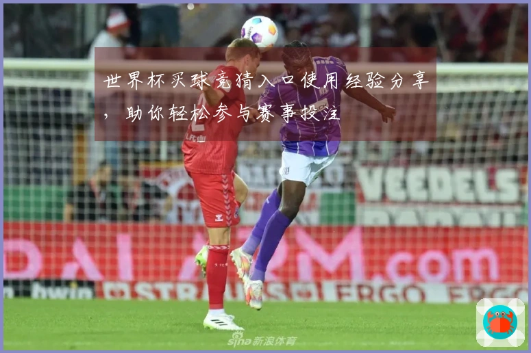 世界杯买球竞猜入口使用经验分享，助你轻松参与赛事投注