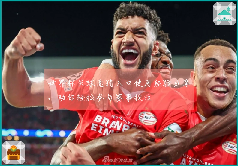 世界杯买球竞猜入口使用经验分享，助你轻松参与赛事投注
