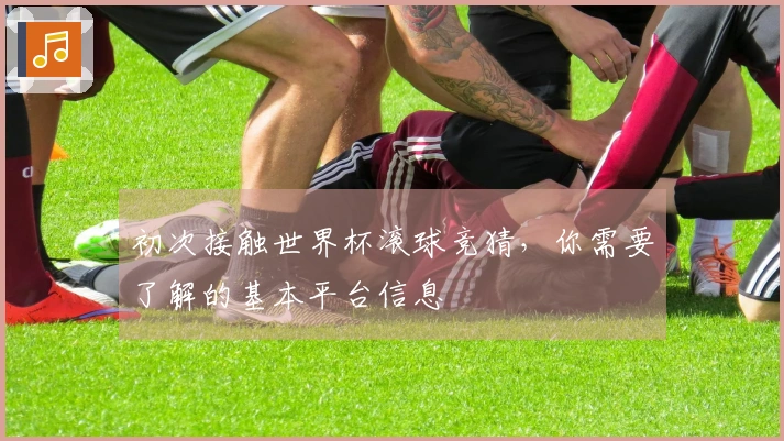 初次接触世界杯滚球竞猜，你需要了解的基本平台信息