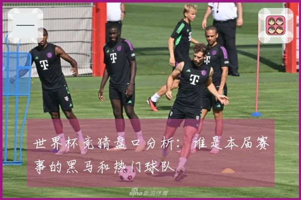世界杯竞猜盘口分析：谁是本届赛事的黑马和热门球队