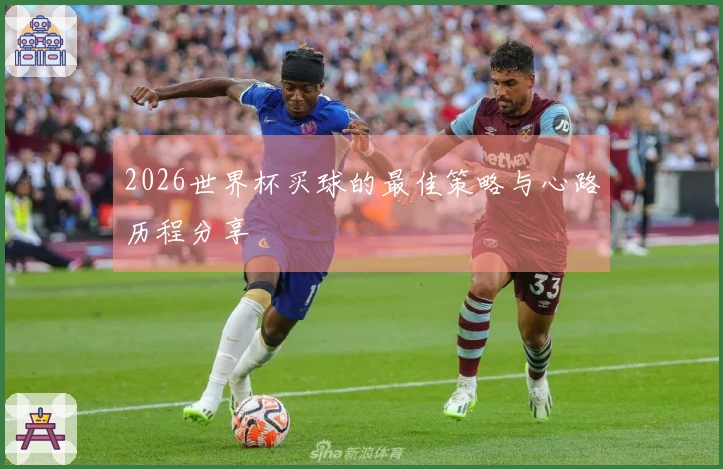 2026世界杯买球的最佳策略与心路历程分享