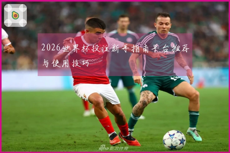 2026世界杯投注新手指南平台推荐与使用技巧